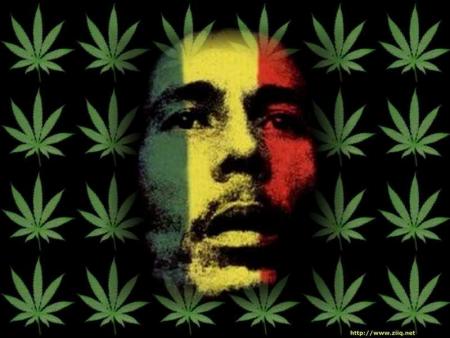 MON TI BOB